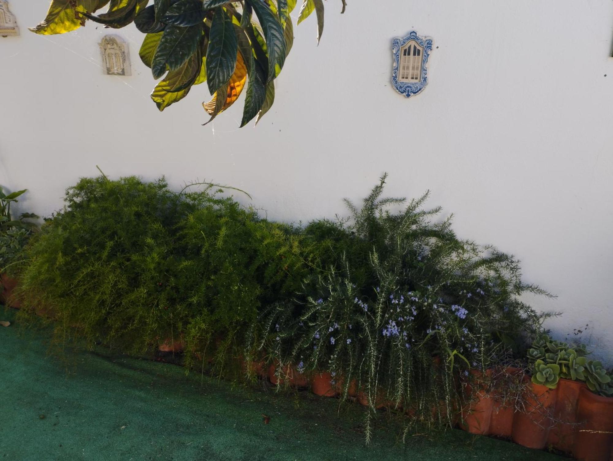 Casa Sarguito Hotel Sagres Exterior photo